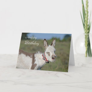 Donkey birthday card
