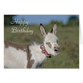 Donkey Cards, Photo Card Templates, Invitations & More