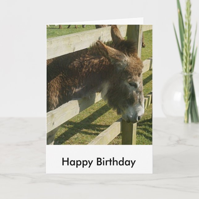 Donkey Birthday Greetings Card (Front)