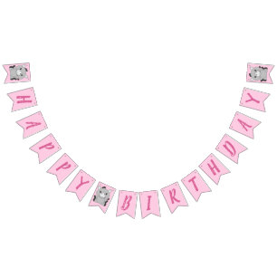 Donkey Birthday Party Pink Bunting