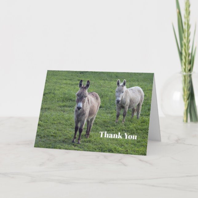 Donkey Brown Tan Animal Photo Thank You Card (Front)