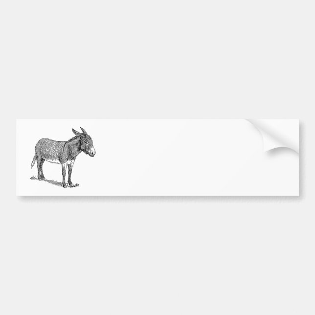 Donkey Bumper Sticker (Front)