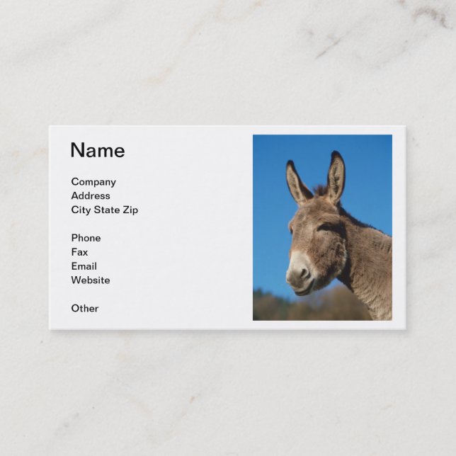 Donkey Business Card (Front)