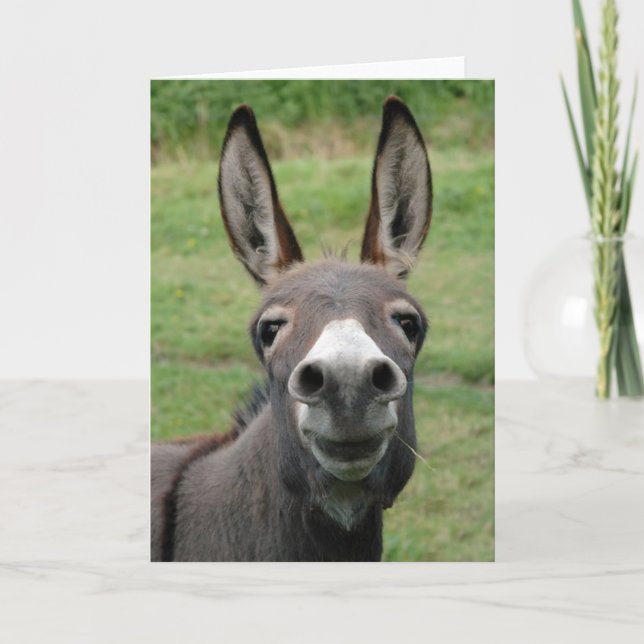 Donkey Card (Front)