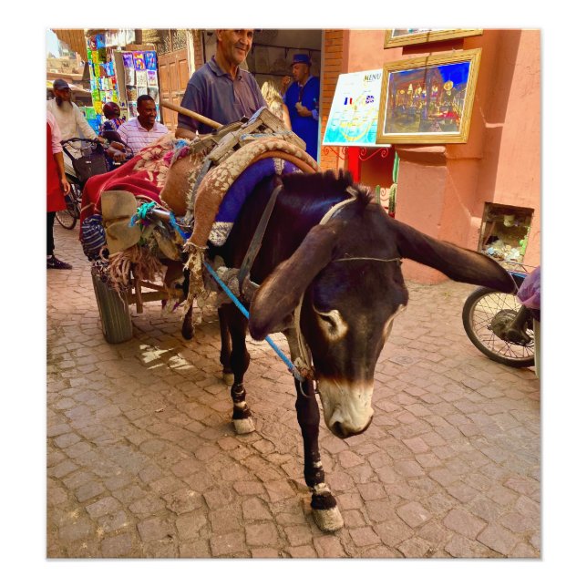 Donkey & Cart in the Medina - Marrakech, Morocco Photo Print (Front)