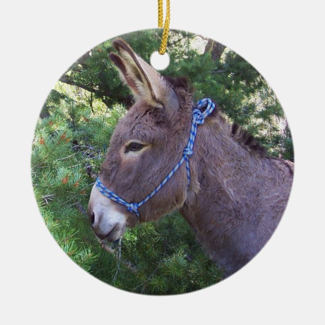 Donkey Ceramic Tree Decoration (Front)