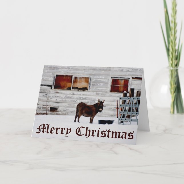 Donkey Christmas Card (Front)