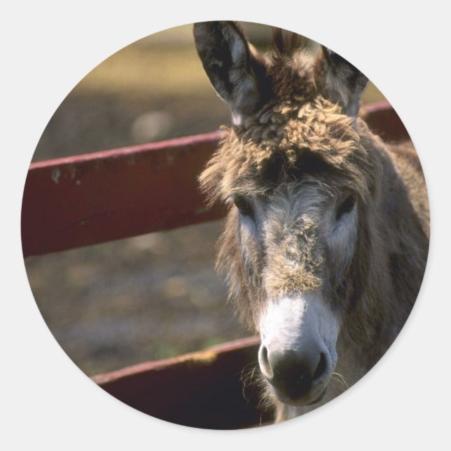 Donkey Classic Round Sticker (Front)