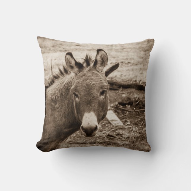 Donkey Cushion (Front)