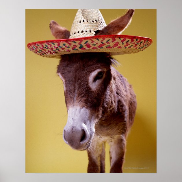 straw hats for donkeys