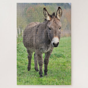 Donkey Farm Animal In Green Pasture Nature Jigsaw Puzzle