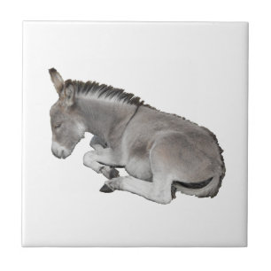 Donkey Foal Tile