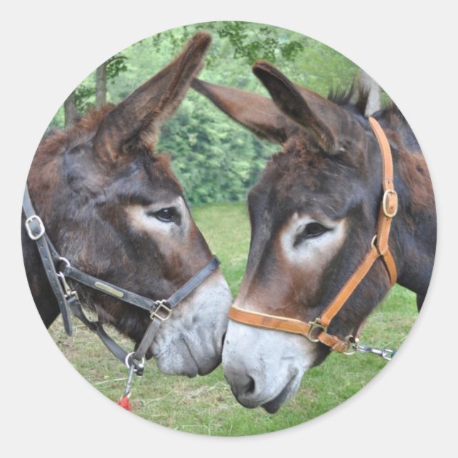 Donkey friends classic round sticker (Front)