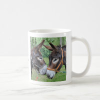 Donkey friends