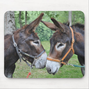 Donkey friends mouse mat