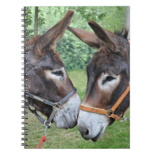 Donkey friends notebook