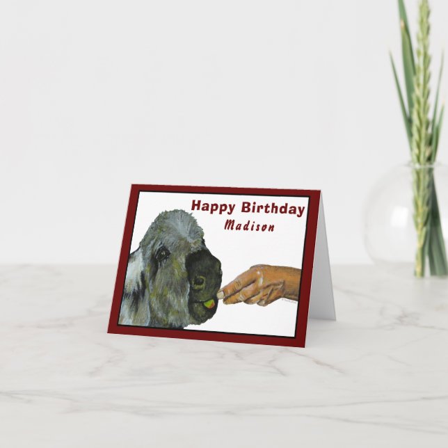 Donkey Greeting Card (Front)
