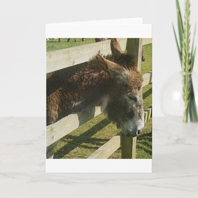 Donkey Greetings Card (Front)