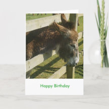 Donkey Greetings
