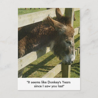 Donkey Greetings Postcards