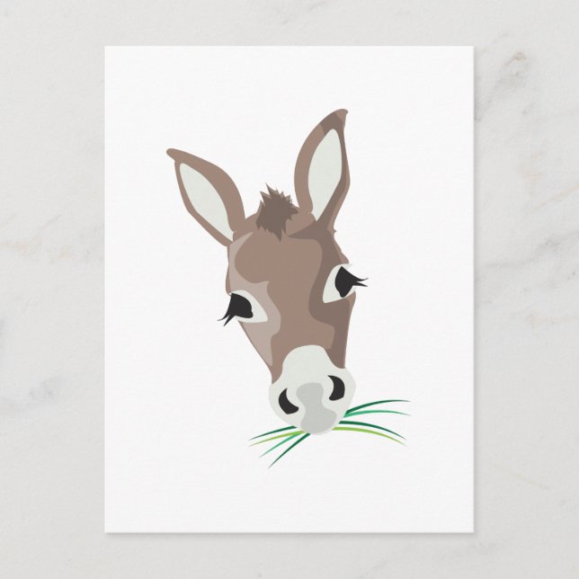 Donkey Head Postcard (Front)