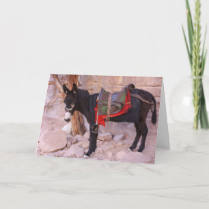 Donkey Holiday Card