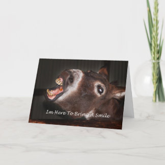 Donkey I'm here to bring a smile Card