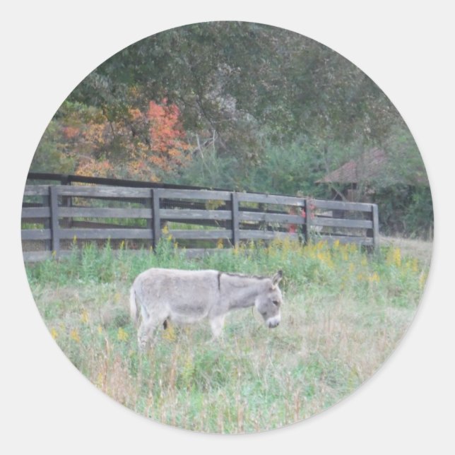 Donkey in a Fall Autumn Field. Classic Round Sticker (Front)