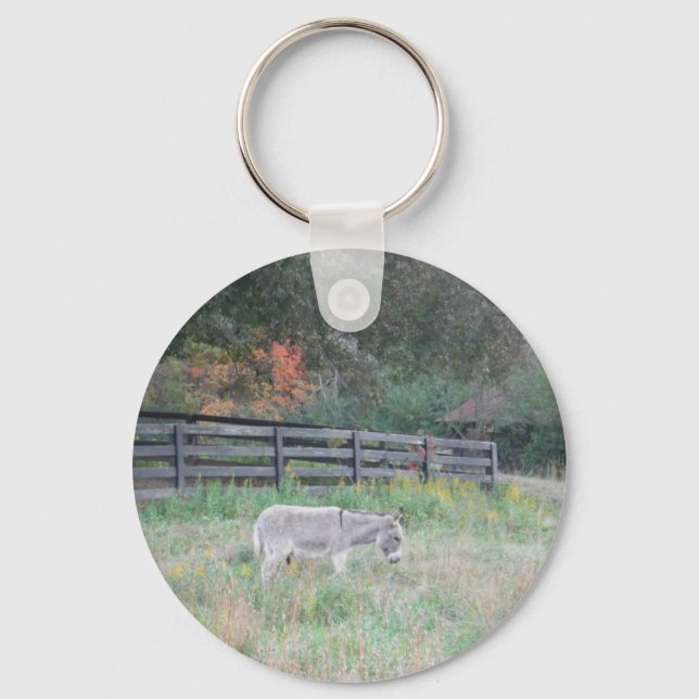 Donkey in a Fall Autumn Field. Key Ring (Front)