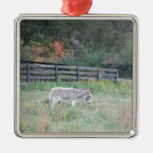 Donkey in a Fall Autumn Field. Metal Tree Decoration