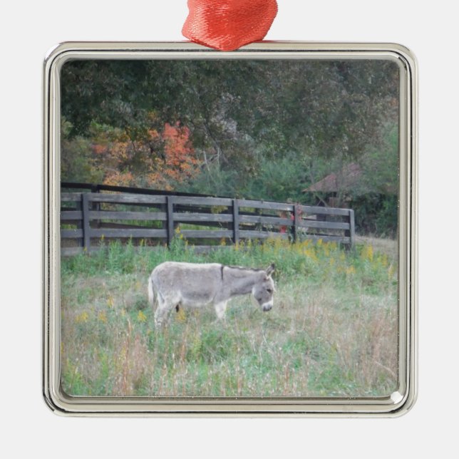 Donkey in a Fall Autumn Field. Metal Tree Decoration (Front)