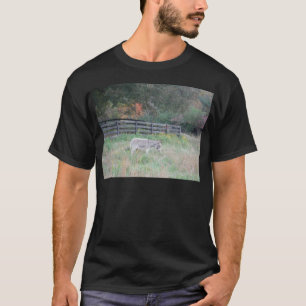 Donkey in a Fall Autumn Field. T-Shirt