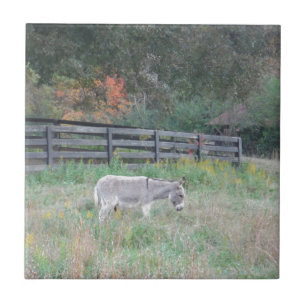 Donkey in a Fall Autumn Field. Tile