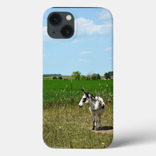 Donkey in a Field iPhone 13 Case