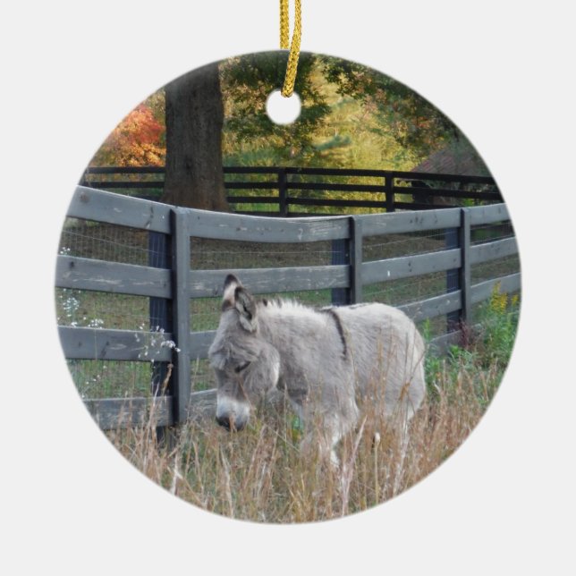 Donkey in an Autumn Field Ceramic Tree Decoration (Front)