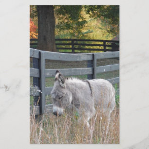 Donkey in an Autumn Field Stationery