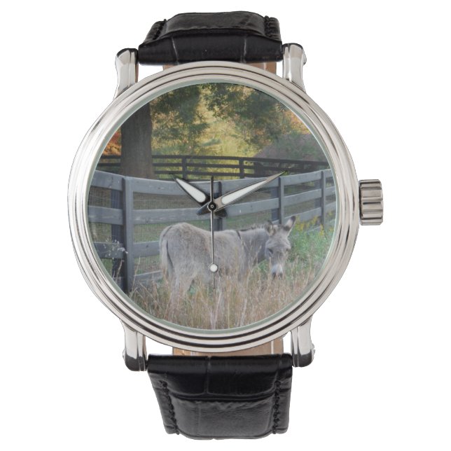 Donkey in an Autumn Field Watch (Front)