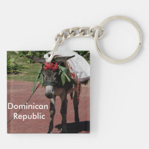 donkey in Dominican Republic Key Ring