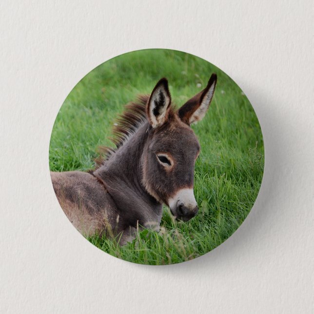 Donkey In The Grass 6 Cm Round Badge (Front)
