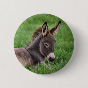 Donkey In The Grass 6 Cm Round Badge