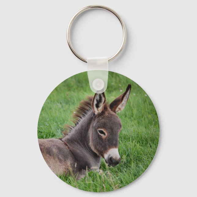 Donkey In The Grass Key Ring (Front)