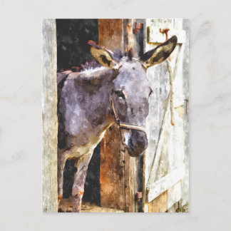 Donkey in watercolor postcard
