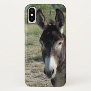 Donkey iPhone case