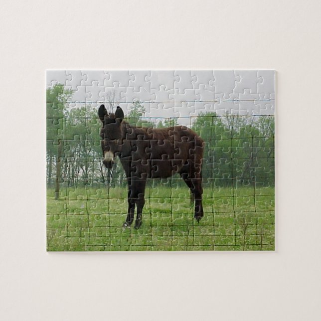Donkey Jigsaw Puzzle (Horizontal)