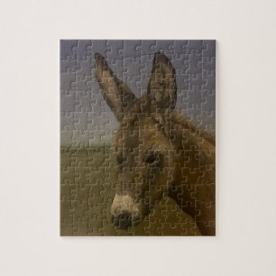 Donkey Jigsaw Puzzle