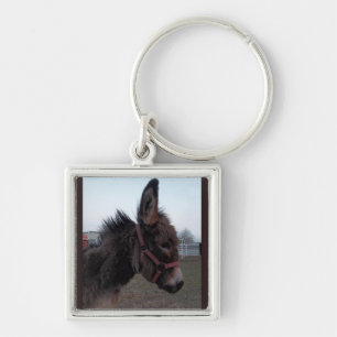 Donkey keyring