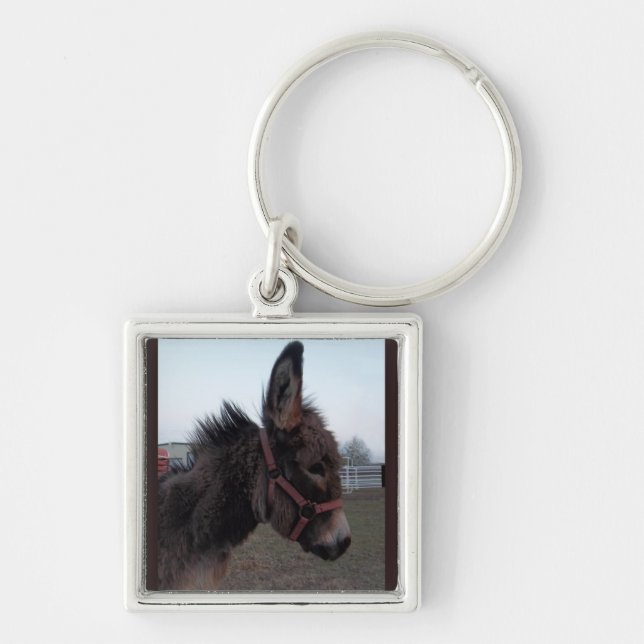 Donkey keyring (Front)