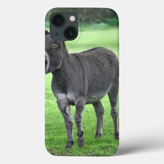 Donkey Laugh iPad Case (Back)