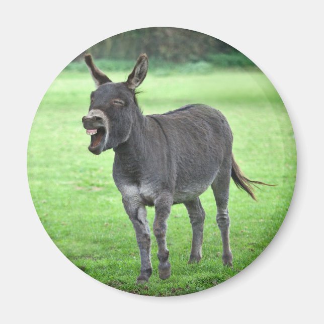 Donkey Laugh Magnet (Front)