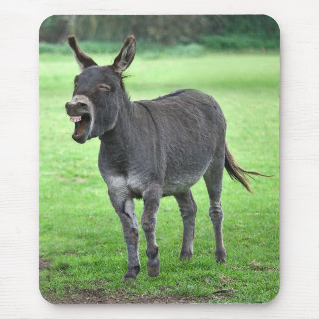 Donkey Laugh Mousemat (Front)